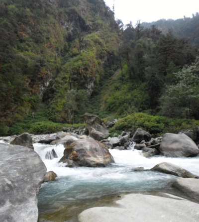 np19_2019-11-05_16-47-14_SAM_3280_stitch