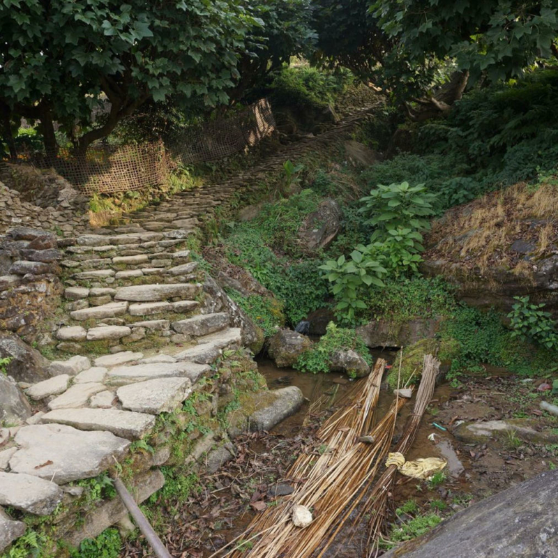 np19_2019-11-25_15-35-06_DSC03143.JPG_stitch