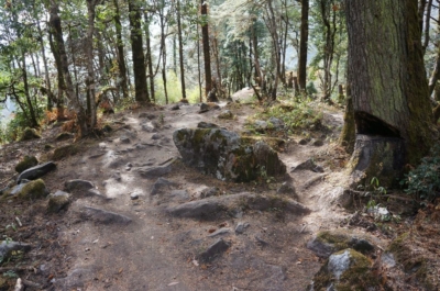 np19_2019-11-09_13-59-25_DSC02497