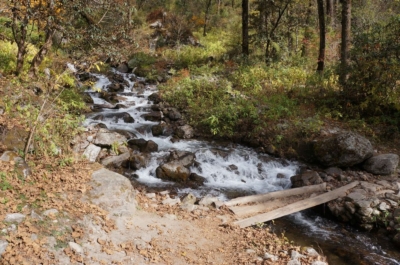 np19_2019-11-09_14-06-48_DSC02498