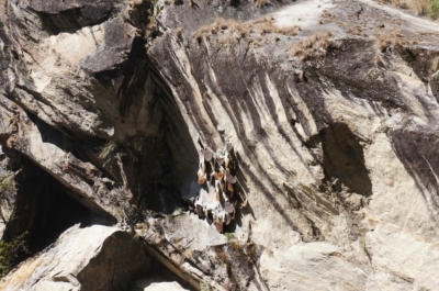 np19_2019-11-10_12-23-38_DSC02546