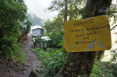 np19_2019-11-10_12-33-14_DSC02550