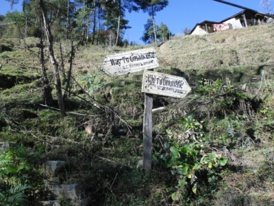 np19_2019-11-11_08-36-15_SAM_3651