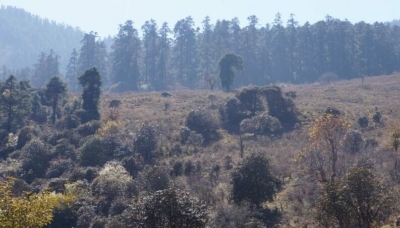 np19_2019-11-11_12-05-01_DSC02568