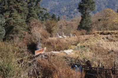 np19_2019-11-11_13-12-46_DSC02572