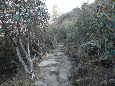 np19_2019-11-11_13-59-53_SAM_3693