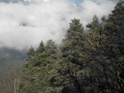 np19_2019-11-11_14-22-42_SAM_3698