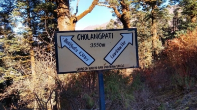 np19_2019-11-11_15-16-31_IMG_20191111_151628778_HDR