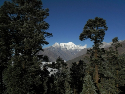 np19_2019-11-11_15-36-41_SAM_3702