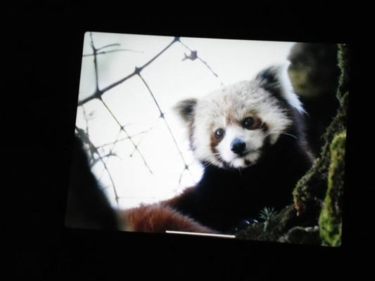 np19_2019-11-11_17-23-29_SAM_3724