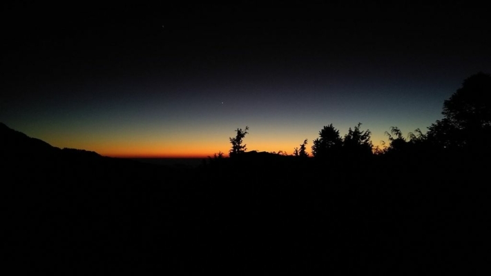 np19_2019-11-11_17-54-24_IMG_20191111_175422713