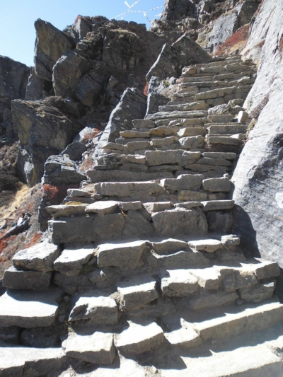 np19_2019-11-12_12-46-09_SAM_3778