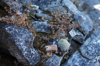 np19_2019-11-12_16-04-51_DSC02634