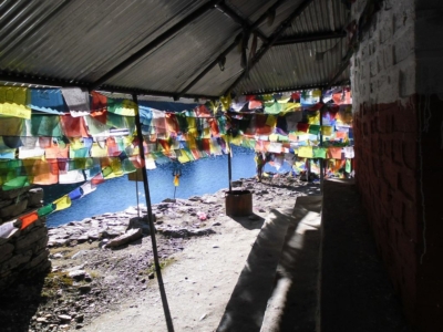 np19_2019-11-13_08-07-34_SAM_3813