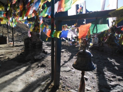 np19_2019-11-13_08-07-57_SAM_3814