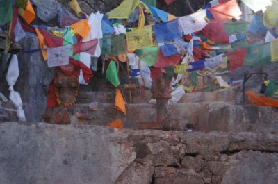 np19_2019-11-13_08-28-22_DSC02661