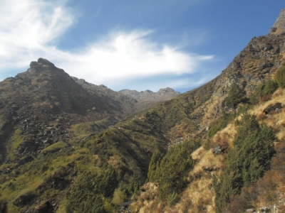 np19_2019-11-13_13-07-24_SAM_3876