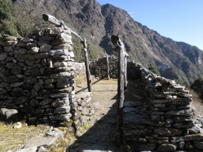 np19_2019-11-13_14-06-51_SAM_3880