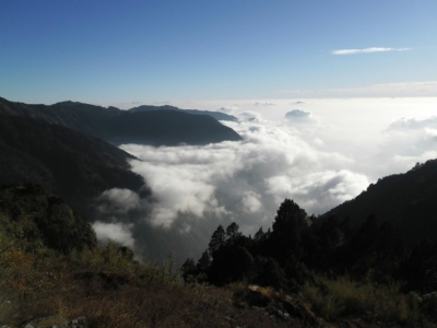 np19_2019-11-13_16-04-15_SAM_3882