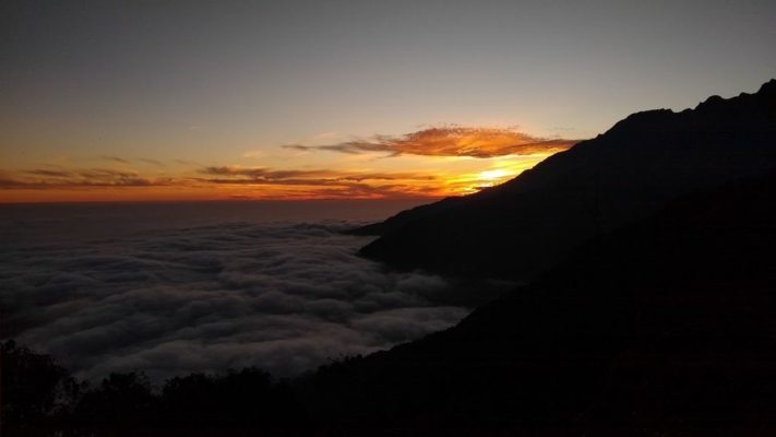 np19_2019-11-13_17-12-43_IMG_20191113_171243121