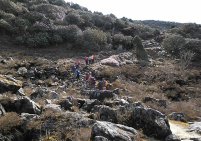 np19_2019-11-14_09-50-46_SAM_3887