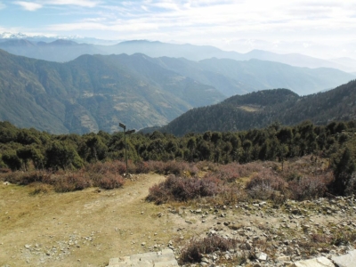 np19_2019-11-14_11-02-55_SAM_3895