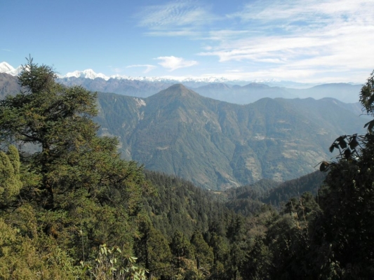 np19_2019-11-14_11-18-43_SAM_3902