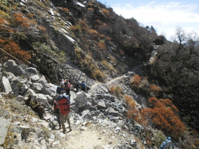 np19_2019-11-14_11-46-41_SAM_3908