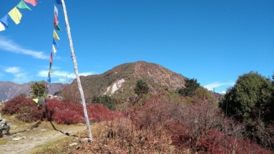 np19_2019-11-14_12-03-38_IMG_20191114_120337464