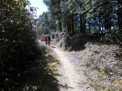 np19_2019-11-14_12-19-21_SAM_3914