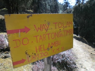 np19_2019-11-14_12-53-59_SAM_3926