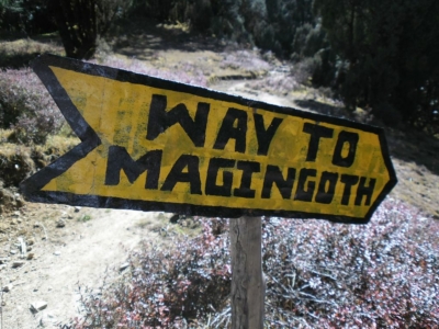 np19_2019-11-14_12-54-14_SAM_3927