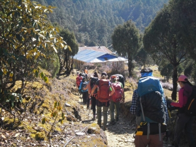 np19_2019-11-14_13-18-08_SAM_3929