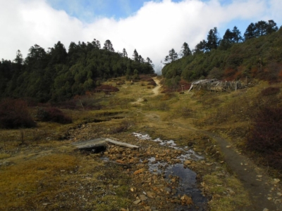 np19_2019-11-14_14-44-15_SAM_3934