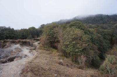 np19_2019-11-14_15-39-33_DSC02701