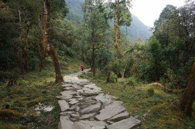 np19_2019-11-18_12-36-12_DSC02773