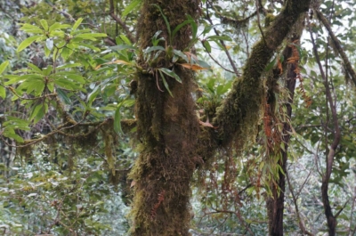 np19_2019-11-18_12-37-38_DSC02775