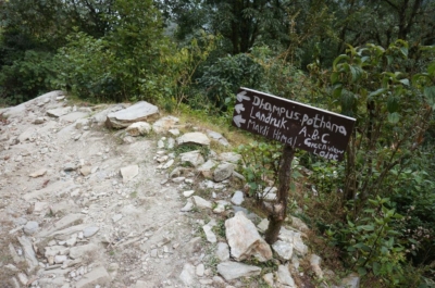 np19_2019-11-18_12-39-46_DSC02776