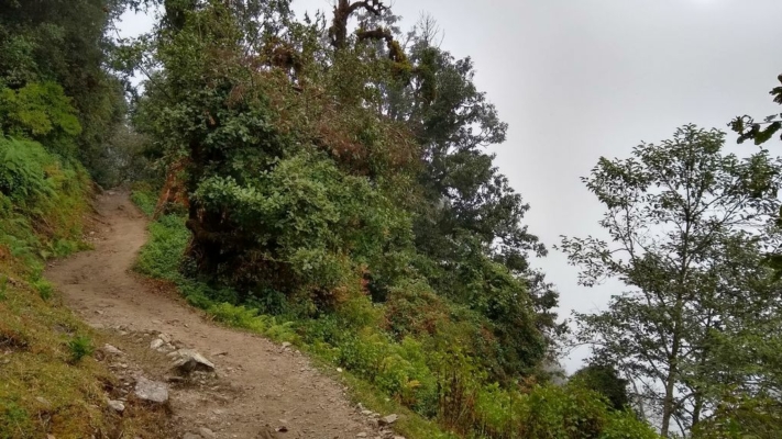 np19_2019-11-18_13-33-28_IMG_20191118_133325251_HDR