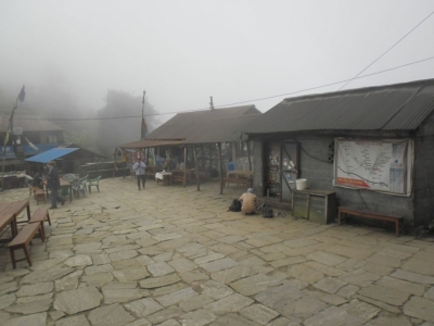 np19_2019-11-18_13-41-43_SAM_3998