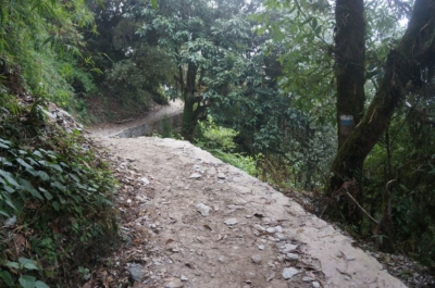 np19_2019-11-18_15-44-23_DSC02784