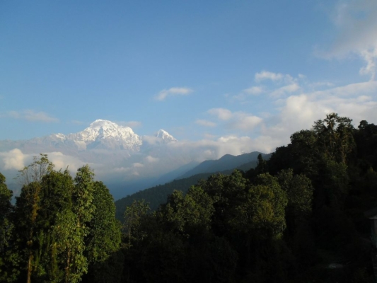 np19_2019-11-19_07-45-51_SAM_4008