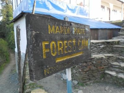 np19_2019-11-19_07-48-45_SAM_4009