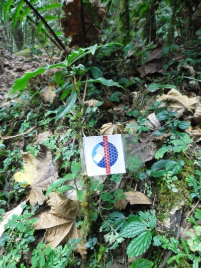 np19_2019-11-19_10-44-29_SAM_4014