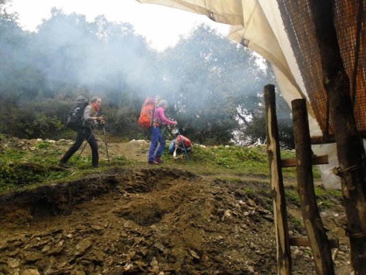 np19_2019-11-19_11-19-30_SAM_4019