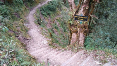 np19_2019-11-19_12-17-11_IMG_20191119_121711132