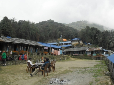 np19_2019-11-19_12-21-21_SAM_4025