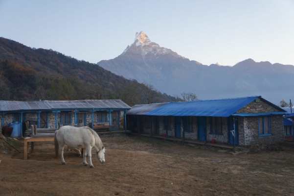 np19_2019-11-20_06-37-11_DSC02808