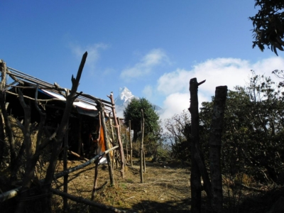 np19_2019-11-20_09-36-29_SAM_4053