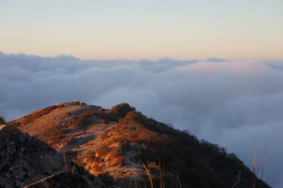 np19_2019-11-21_06-41-50_DSC02864